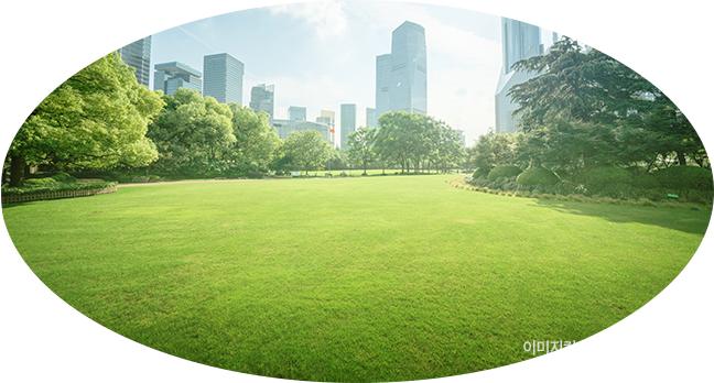 에코라이프 프리미엄